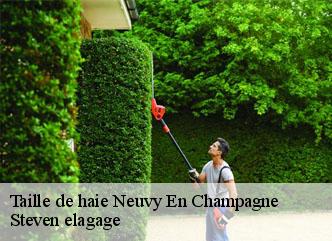 Taille de haie  neuvy-en-champagne-72240 Steven elagage
