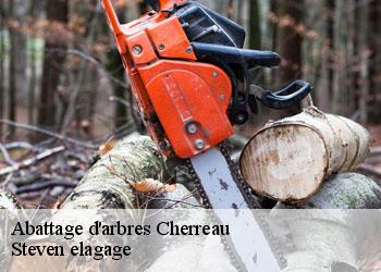 Abattage d'arbres  cherreau-72400 Steven elagage