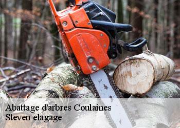 Abattage d'arbres  coulaines-72190 Steven elagage