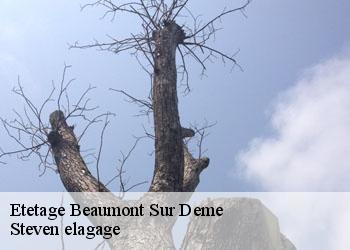 Etetage  beaumont-sur-deme-72340 Steven elagage