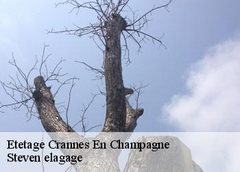 Etetage  crannes-en-champagne-72540 Steven elagage