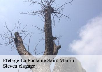 Etetage  la-fontaine-saint-martin-72330 Steven elagage