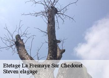 Etetage  la-fresnaye-sur-chedouet-72670 Steven elagage