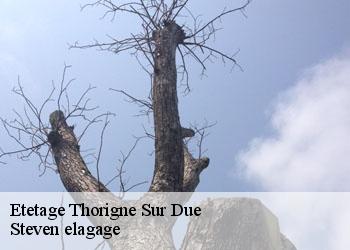 Etetage  thorigne-sur-due-72160 Steven elagage