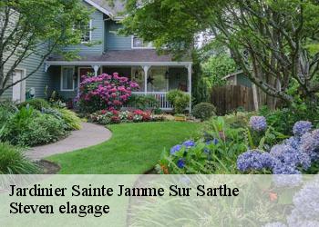 Jardinier  sainte-jamme-sur-sarthe-72380 Steven elagage