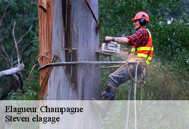 Elagueur  champagne-72470 Steven elagage