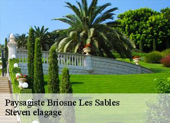 Paysagiste  briosne-les-sables-72110 Steven elagage