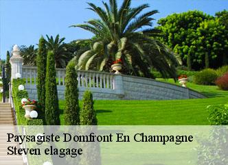 Paysagiste  domfront-en-champagne-72240 Steven elagage