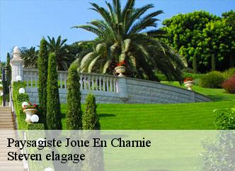 Paysagiste  joue-en-charnie-72540 Steven elagage