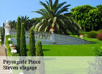 Paysagiste pince-72300 Steven elagage