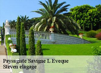 Paysagiste  savigne-l-eveque-72460 Steven elagage