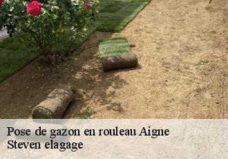 Pose de gazon en rouleau  aigne-72650 Steven elagage