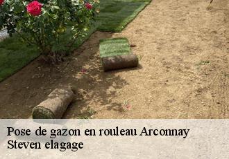 Pose de gazon en rouleau  arconnay-72610 Steven elagage