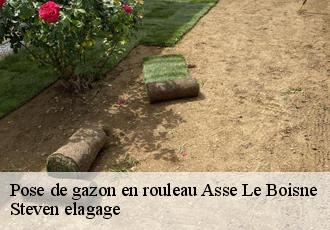 Pose de gazon en rouleau  asse-le-boisne-72130 Steven elagage