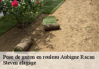 Pose de gazon en rouleau  aubigne-racan-72800 Steven elagage