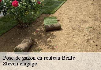 Pose de gazon en rouleau  beille-72160 Steven elagage