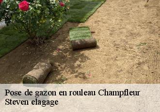 Pose de gazon en rouleau  champfleur-72610 Steven elagage