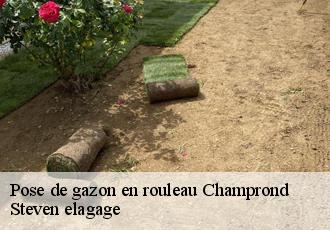 Pose de gazon en rouleau  champrond-72320 Steven elagage