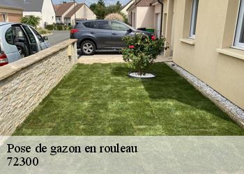 Pose de gazon en rouleau 72300