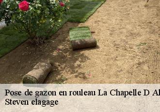 Pose de gazon en rouleau la-chapelle-d-aligne-72300 Steven elagage