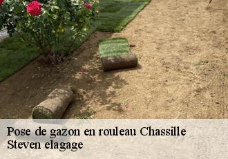 Pose de gazon en rouleau  chassille-72540 Steven elagage