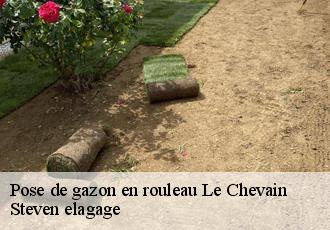 Pose de gazon en rouleau  le-chevain-72610 Steven elagage