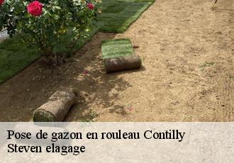 Pose de gazon en rouleau  contilly-72600 Steven elagage