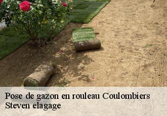 Pose de gazon en rouleau  coulombiers-72130 Steven elagage