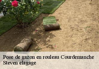 Pose de gazon en rouleau  courdemanche-72150 Steven elagage