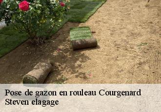 Pose de gazon en rouleau courgenard-72320 Steven elagage
