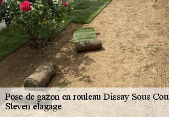 Pose de gazon en rouleau  dissay-sous-courcillon-72500 Steven elagage