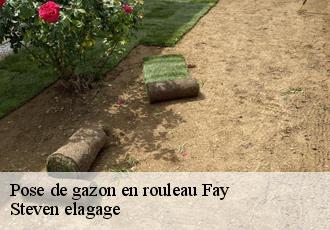 Pose de gazon en rouleau  fay-72550 Steven elagage