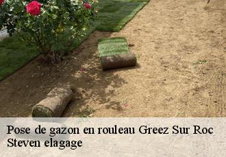 Pose de gazon en rouleau  greez-sur-roc-72320 Steven elagage