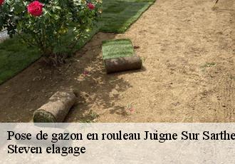 Pose de gazon en rouleau  juigne-sur-sarthe-72300 Steven elagage