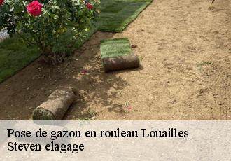 Pose de gazon en rouleau  louailles-72300 Steven elagage