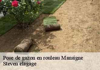 Pose de gazon en rouleau  mansigne-72510 Steven elagage