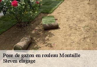 Pose de gazon en rouleau  montaille-72120 Steven elagage