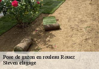 Pose de gazon en rouleau rouez-72140 Steven elagage