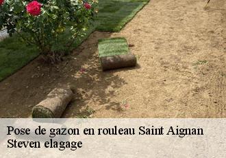 Pose de gazon en rouleau  saint-aignan-72110 Steven elagage