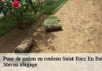 Pose de gazon en rouleau  saint-biez-en-belin-72220 Steven elagage