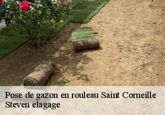 Pose de gazon en rouleau  saint-corneille-72460 Steven elagage