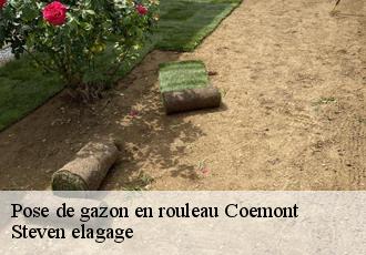 Pose de gazon en rouleau  coemont-72500 Steven elagage