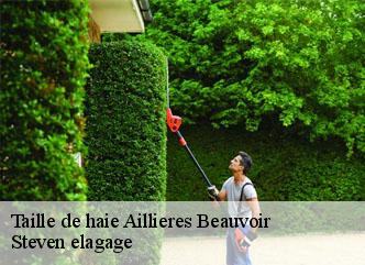 Taille de haie  aillieres-beauvoir-72600 Steven elagage