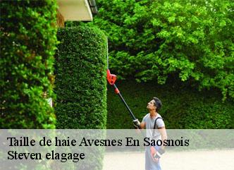 Taille de haie  avesnes-en-saosnois-72260 Steven elagage