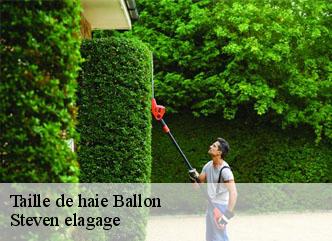 Taille de haie  ballon-72290 Steven elagage