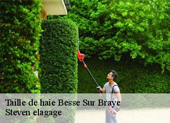 Taille de haie  besse-sur-braye-72310 Steven elagage