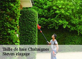 Taille de haie  chahaignes-72340 Steven elagage