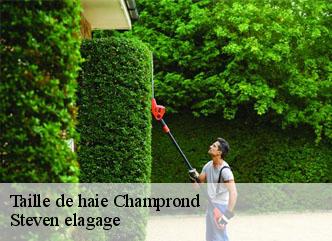 Taille de haie champrond-72320 Steven elagage