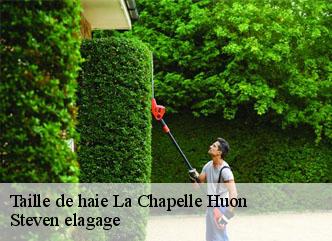 Taille de haie la-chapelle-huon-72310 Steven elagage