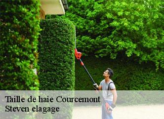 Taille de haie courcemont-72110 Steven elagage